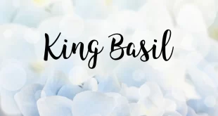 King Basil Font