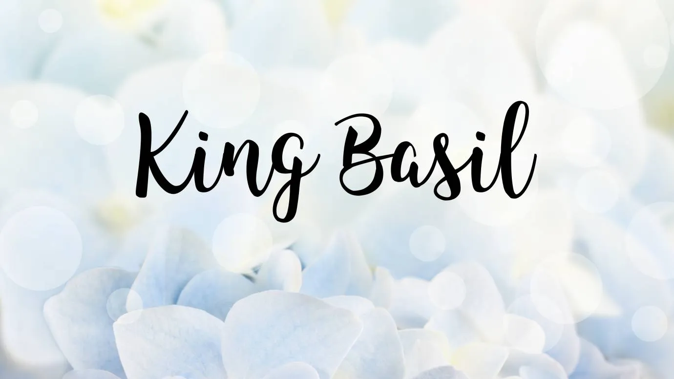 King Basil Font