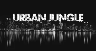 Urban Jungle Font