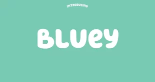 Bluey Font