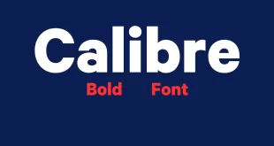 Calibre font